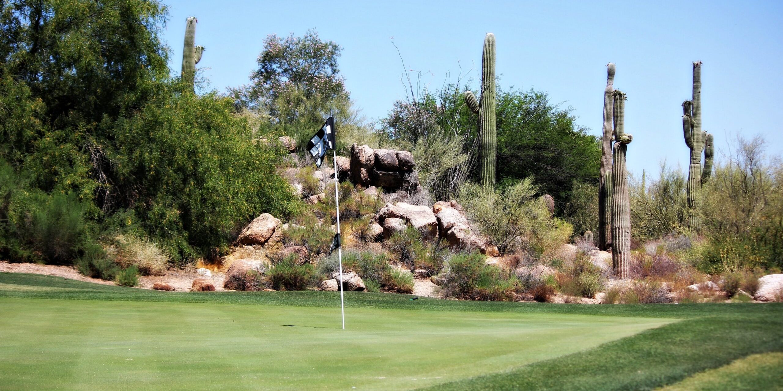 sheri-hooley-Hl_5rD5kazI-unsplash