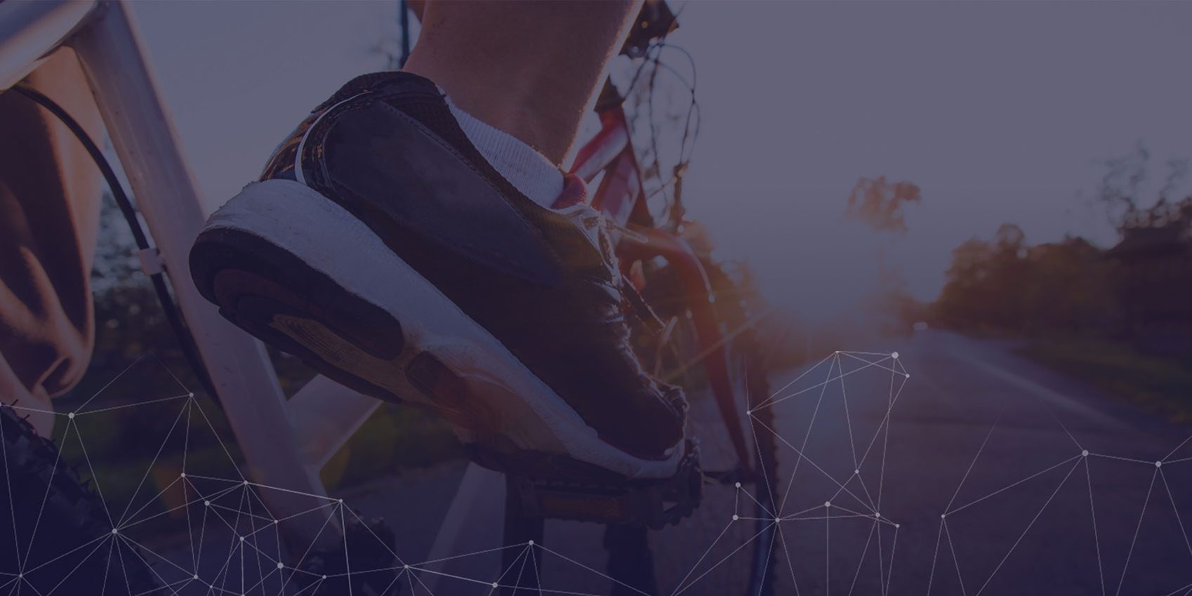 Sporting insights analytics