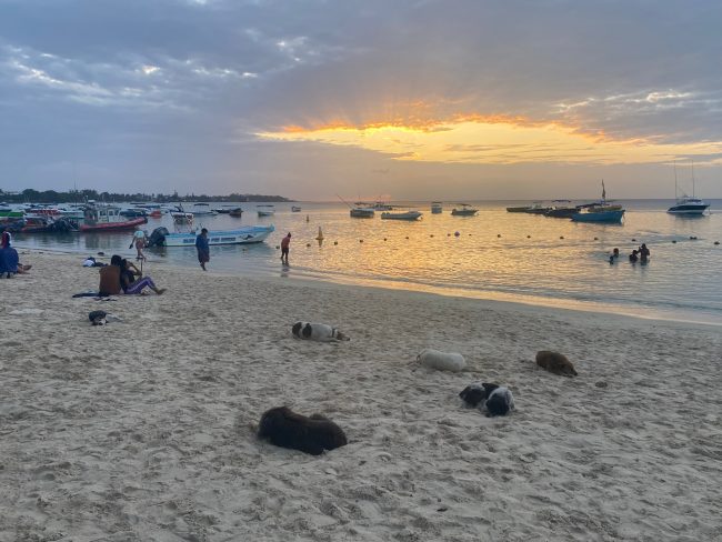 WhatsApp Image 2022-12-19 at 11.02.22