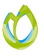Data tulip logo