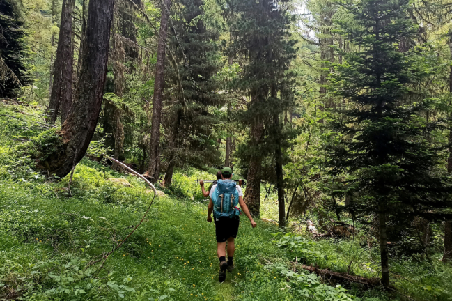 Two men hiking through a verdant forest in France