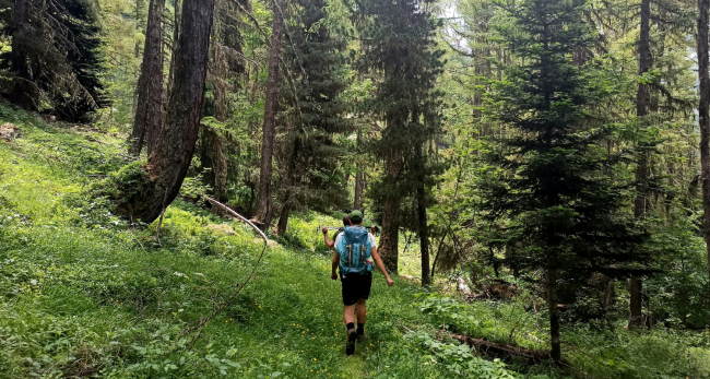 Untitled design-20 Two men hiking through a verdant forest in France